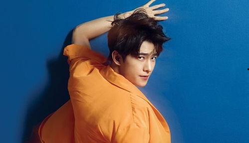 吃瓜娱乐迪丽热巴杨洋,瓜田娱乐，甜蜜互动引关注