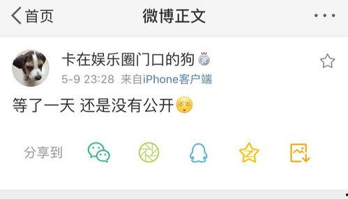 吃瓜的爆料程度,吃瓜爆料程度大揭秘，真相与谣言的较量