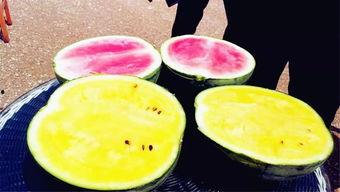 sunwall吃瓜爆料官网,热门八卦一网打尽