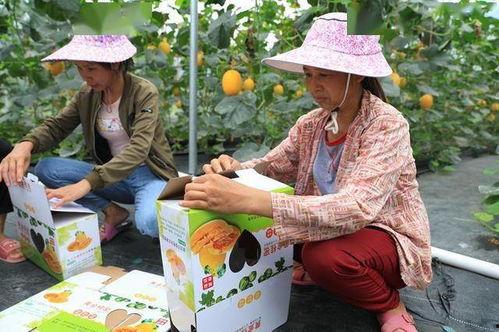 扭腰网红被吃瓜,吃瓜群众热议，真相究竟如何？”