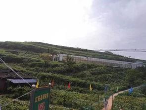 下峪口网红吃瓜事件