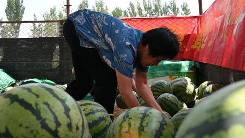 下峪口网红吃瓜事件