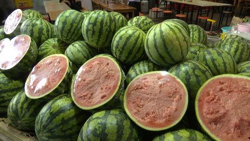 网瓜都是怎样吃的,解锁美味新境界